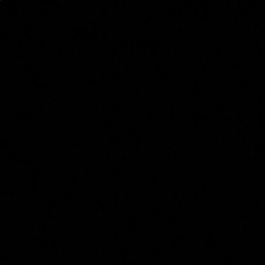 Meet your Posher, Chase